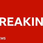 Mexico Navy Vessel Collides with New York’s Brooklyn Bridge