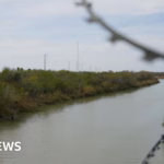 Five Musicians Slain in Alleged Drug Cartel Violence