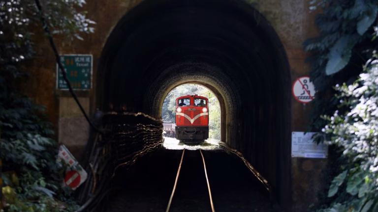 Exploring Taiwan’s Picturesque Cedar Forests on a Historical 113-Year-Old Railway