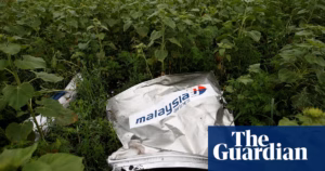 UN Entity Holds Russia Accountable for Destruction of MH17, Advocates Reparation Claims | Malaysia Airlines Disaster Inquiry