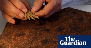 Pivotal discovery of ancient claw print fossils in Australia reshapes the timeline of amniote evolution by 40 million years.