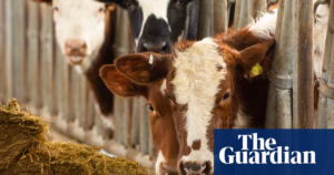 Scotland’s Environmental Guardian Calls for Action Following Continued Failure to Meet Climate Goals | Ecoshire Campaign