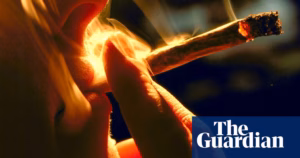 Concerned about Cannabis: Should London Follow New York’s Suit and Decriminalize it? |Cannabis
