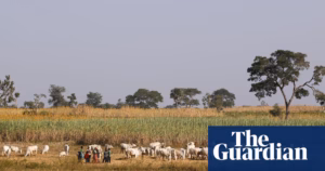 Central Nigeria suffers casualties as forty-two individuals lose their lives in violent incidents attributed to herders | Nigeria