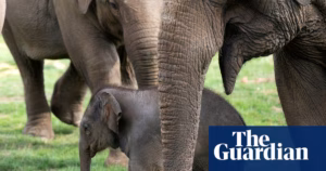 UK Zoo Welfare Standards Receive Long-Awaited Revamp After Over a Decade | Wildlife