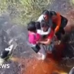 Survivors of plane crash endure 36 hours in swamp inhabited by alligators