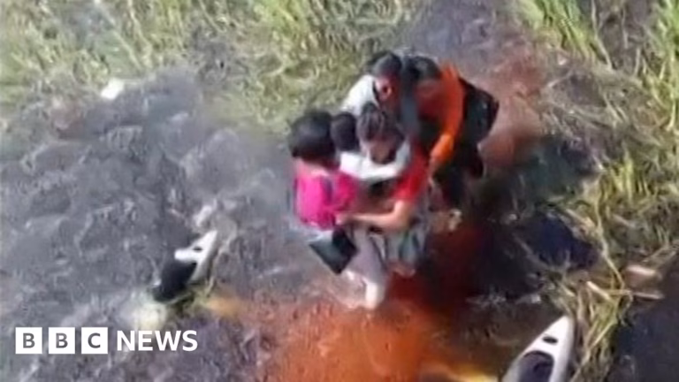 Survivors of plane crash endure 36 hours in swamp inhabited by alligators
