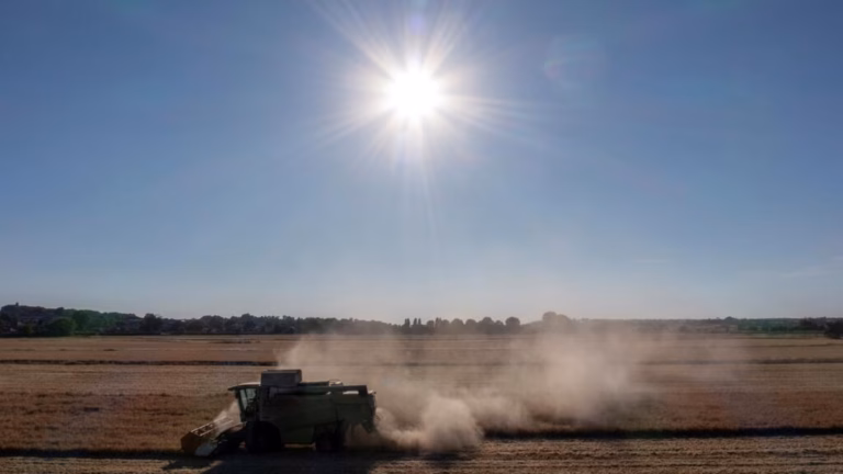 Budding crops are at risk from the most severe drought in decades plaguing northern Europe.