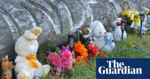 NSW Woman Charged with Murder of Grandsons Appears in Court | New South Wales