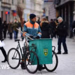 Sarajevo struggles with soaring rodent population and illnesses amid escalating health crisis.