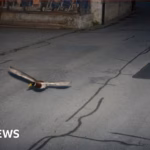 Swiss Traffic Surveillance Records Duck in Flight