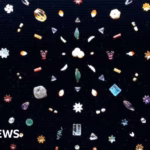 Up for Bid: Precious Artifacts from the Buddha