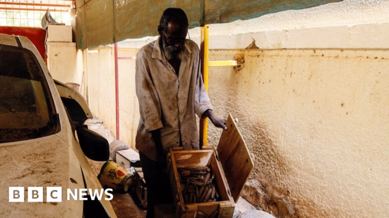 America accuses Sudan of employing toxic armaments during internal conflict.
