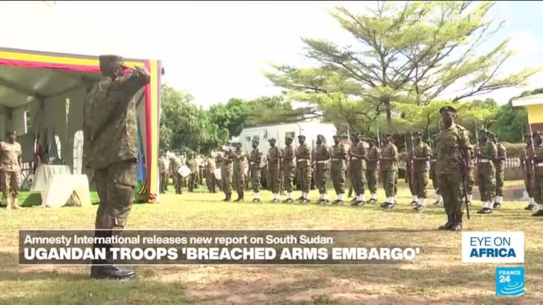 Ugandan Military Forces Violated South Sudan’s Weapon Ban