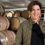 Wine Producers Struggling with Trump’s Tariffs