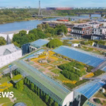 Female victim fatally struck with an axe on campus at a Polish educational institution.