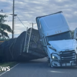 Over 250 million bees flee from a capsized truck in the United States.