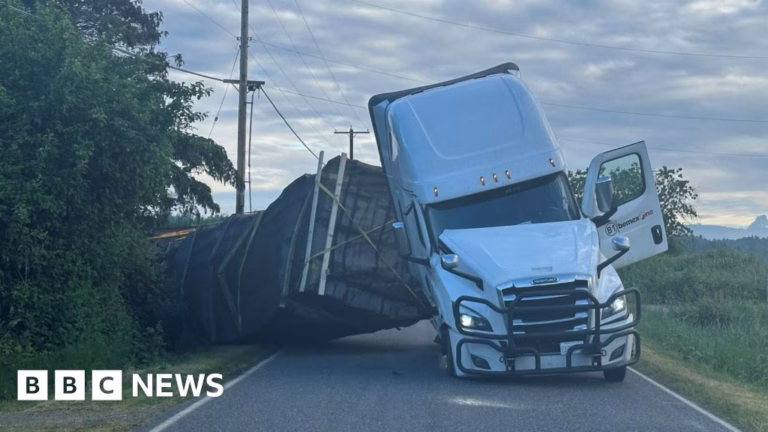 Over 250 million bees flee from a capsized truck in the United States.