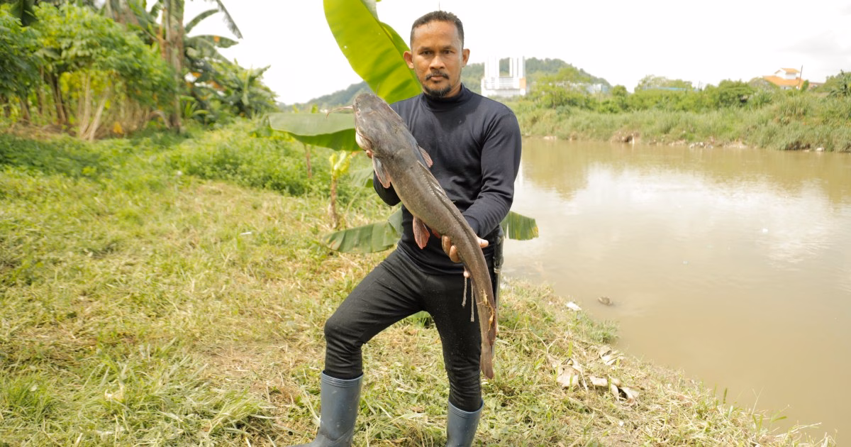 Holdingcatfish001 mgl0753 1747378345 c7ca7f 1747380961.jpg