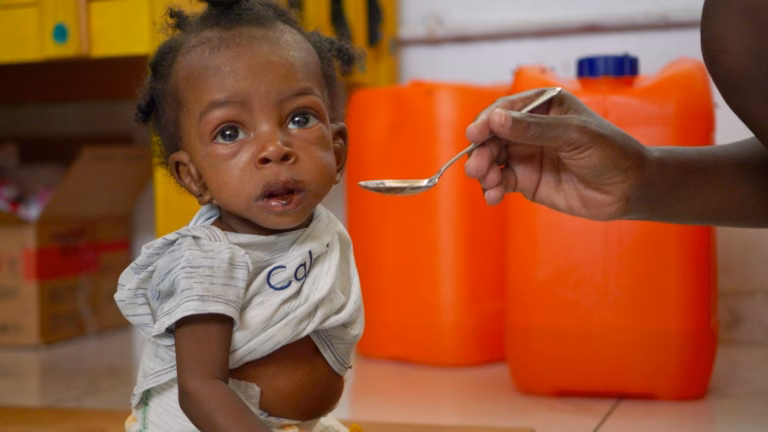 Staff members in Haiti’s capital defying gang divisions to combat malnutrition and cholera | International News