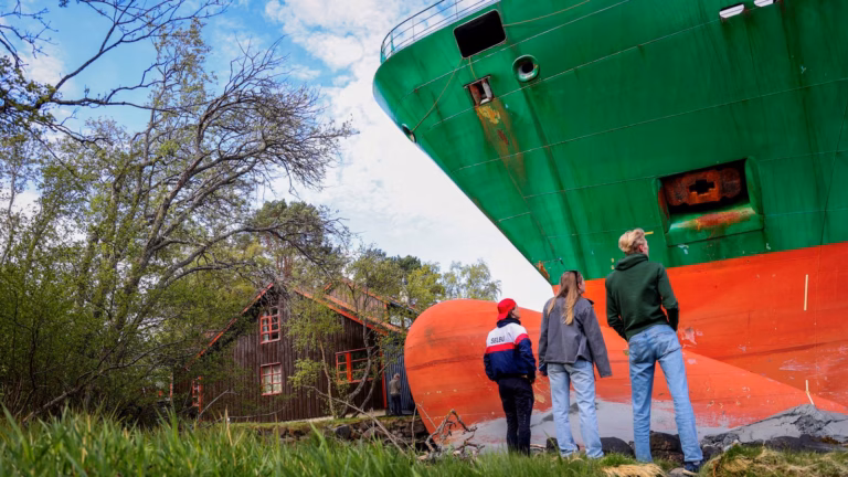 Deep sleeper remains undisturbed by ship crashing into the garden | Global Updates