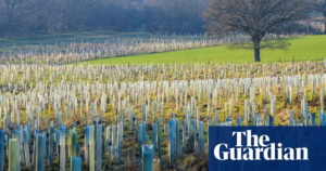 Are Net Zero Policies Beneficial or Not? The Debate among Tories and Reform Advocates in the Green Political Landscape