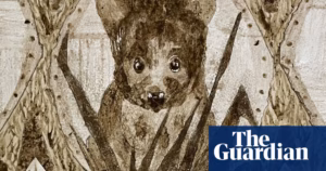 Scat Art: Tasmanian contest aims to shatter stigma surrounding dung through creative artwork