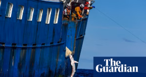 Distressing Decline of Pacific Sharks: Greenpeace Reports Widespread Overfishing Following Examination of Lengthy Fishing Lines