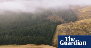 Government of New Zealand faces lawsuit due to insufficient and perilous emissions reduction strategy | New Zealand