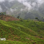 Colombia Reports Abduction of 57 Military Personnel by Civilian Group