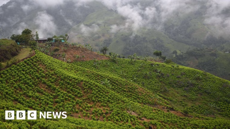 Colombia Reports Abduction of 57 Military Personnel by Civilian Group