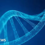 Human Genome Project Approved to Proceed