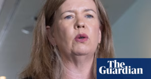 Bridget Archer, ex-Liberal federal MP, roped in by Rockliff for swift Tasmania election | Politics in Tasmania