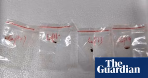 FBI Accuses Chinese Scientists of Smuggling Fungus into US, Possible Threat to Agricultural Security