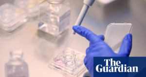 UK campaigners urge time off for work for IVF appointments