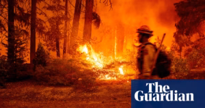Trump Plans to Combine Wildland Firefighting Teams, Heedless of Potential Disarray | Trump Government