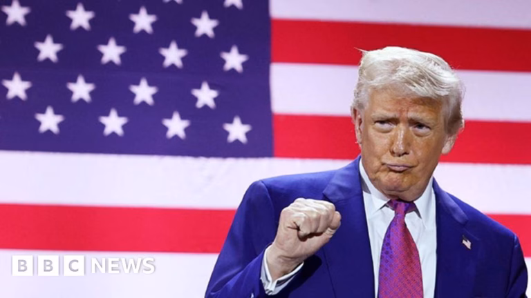 Assessing Tariffs’ Impact on the US Economy: Scrutinizing Trump’s Investment Assertions
