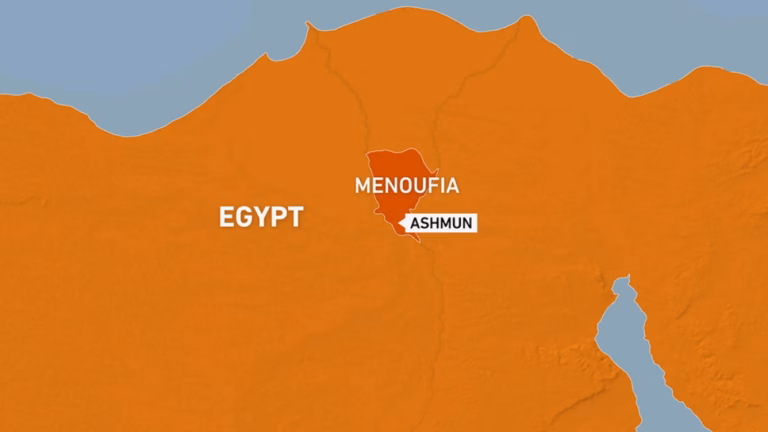 Teen Workers Among 19 Victims of Devastating Road Accident in Egypt | Children’s Rights News