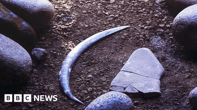 Ancient throwing weapon predates expectations, not from Australia