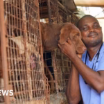 Rising living expenses in Nigeria lead to people relinquishing their pets