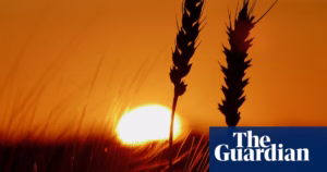 The alarming consequences of escalating summer temperatures in the UK: Scientists express their deep worries over the climate emergency