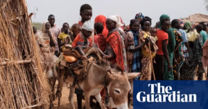 There are allegations by lawyers claiming the Sudanese paramilitary units have carried out violent attacks on villages resulting in the deaths of nearly 300 individuals.