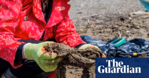 Report urges wet wipe manufacturers to be held accountable for polluting England’s waterways | Environmental Degradation