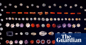 ‘A Joyful Occasion’: India Rejoices Over the Homecoming of Ancient Gems Associated with the Buddha | India