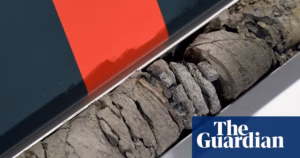 Darwinville: Fossil Unearthed in Parking Lot of Denver Museum Renowned for Dinosaurs