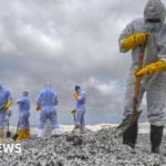 BBC Investigates Long-Lasting Toxic Aftermath of Cargo Ship Wreck off Sri Lanka