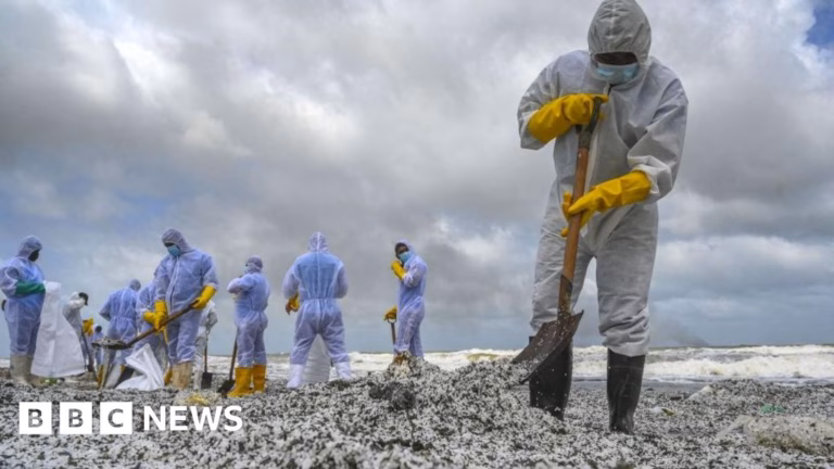 BBC Investigates Long-Lasting Toxic Aftermath of Cargo Ship Wreck off Sri Lanka