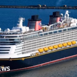 Disney Cruise Passenger Leaps to Rescue Fallen Child