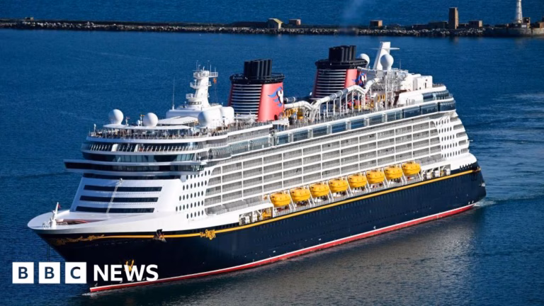 Disney Cruise Passenger Leaps to Rescue Fallen Child