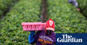 Californian court orders Trump administration to restrict immigration arrests to avoid accusations of ethnic/racial profiling | United States immigration policy